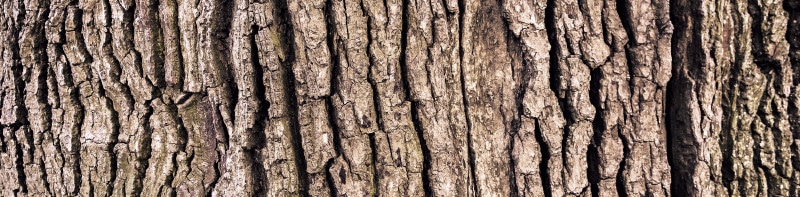 Full width image